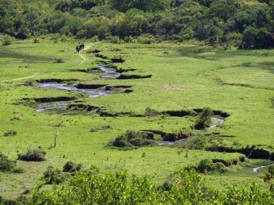 Arusha National Park. By Udare Safari