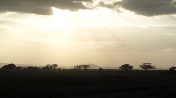Climate. Climate By Udare Safari