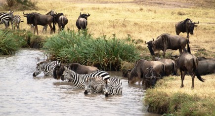 Chaga itinerary. By Udare Safari